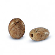 Natural stone bead Dalmatian Stone oval 8x6mm Acorn brown